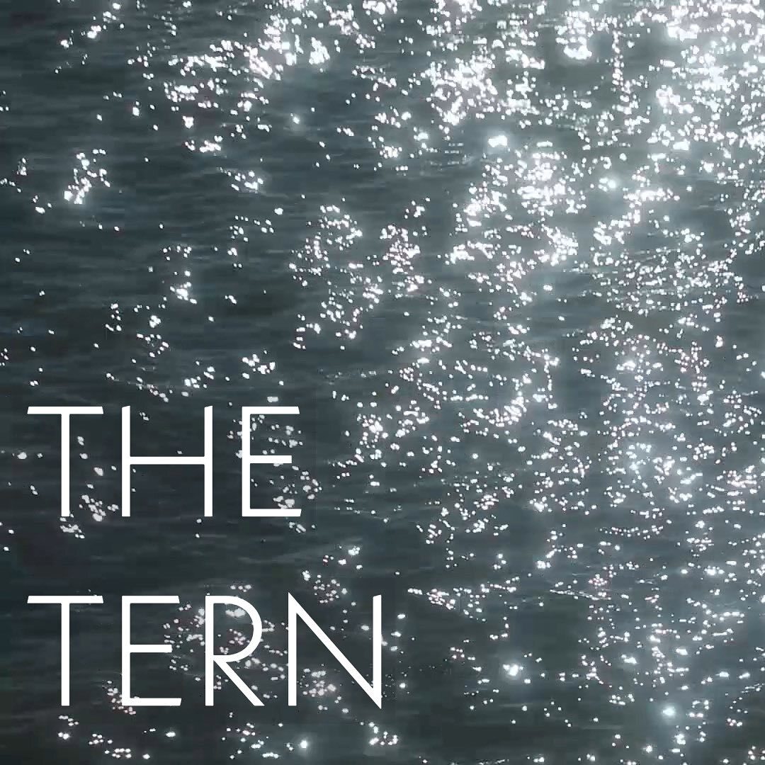 The Tern